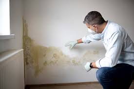 Mold Documentation for Insurance Claims in Loop, PA